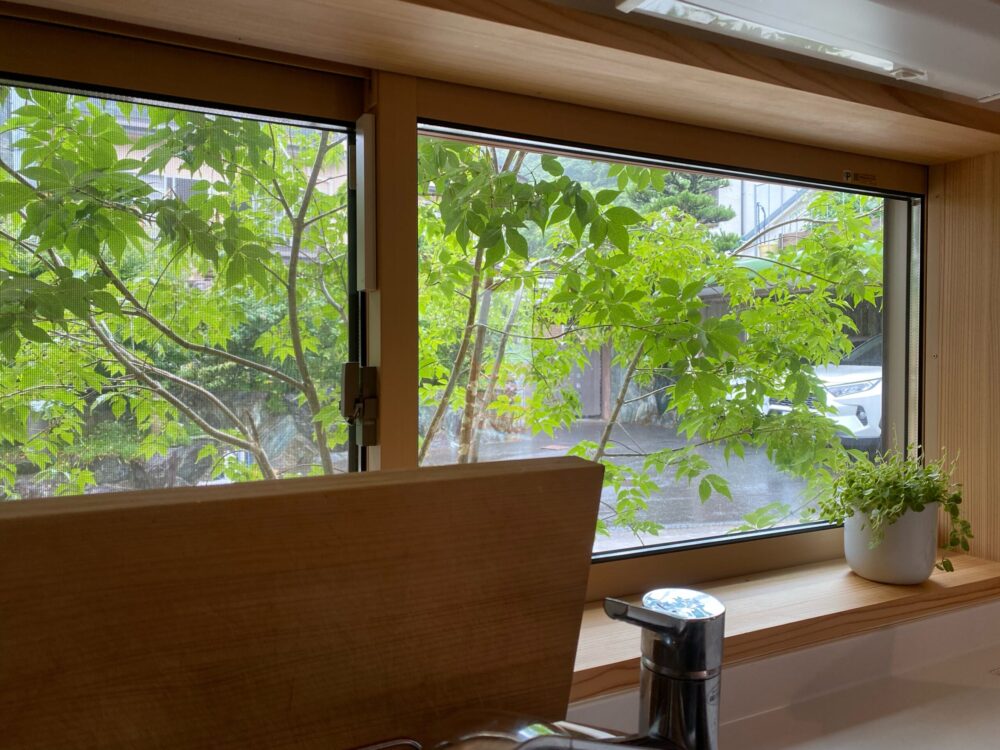 そのアオダモはキッチンを明るくする窓と共有している