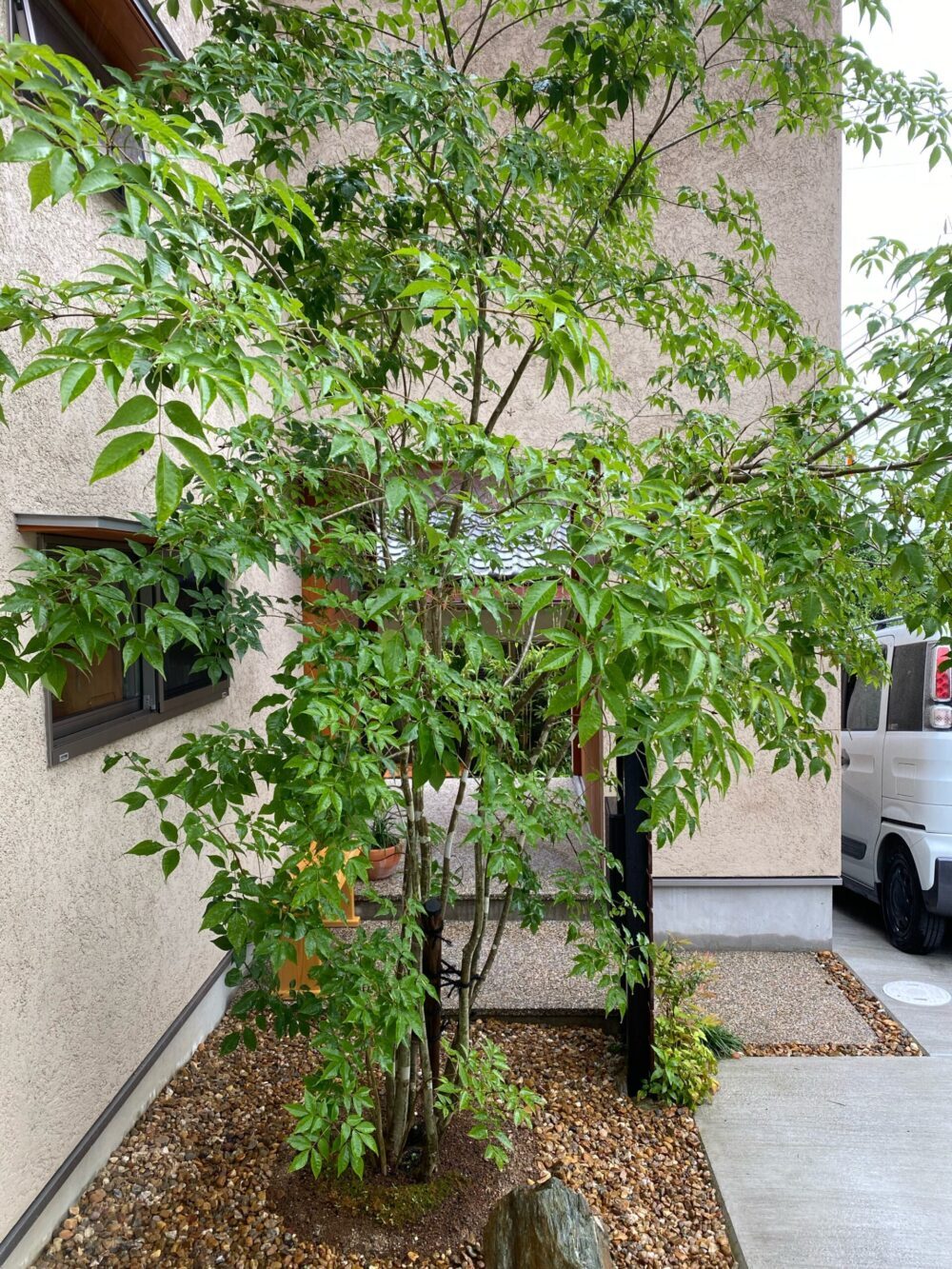 雨の日に傘を少したたんでくぐる、このワンアクションも煩わしいとは思わない