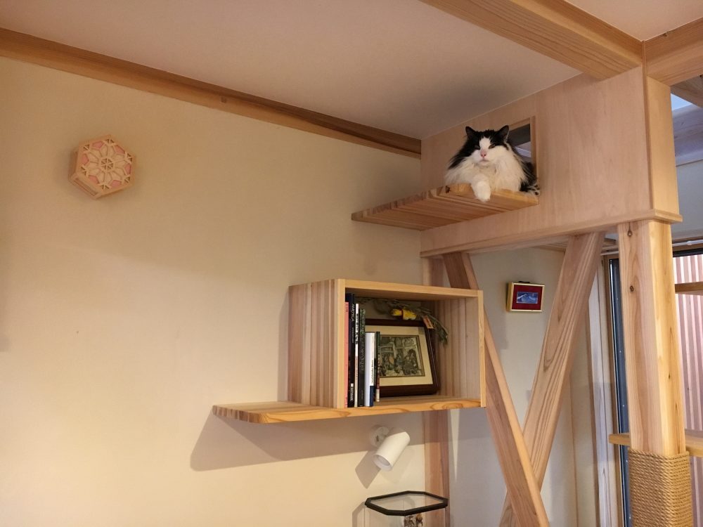 木は、人間の五感(視覚・触覚・嗅覚・聴覚・味覚)に感応する性質を持っている