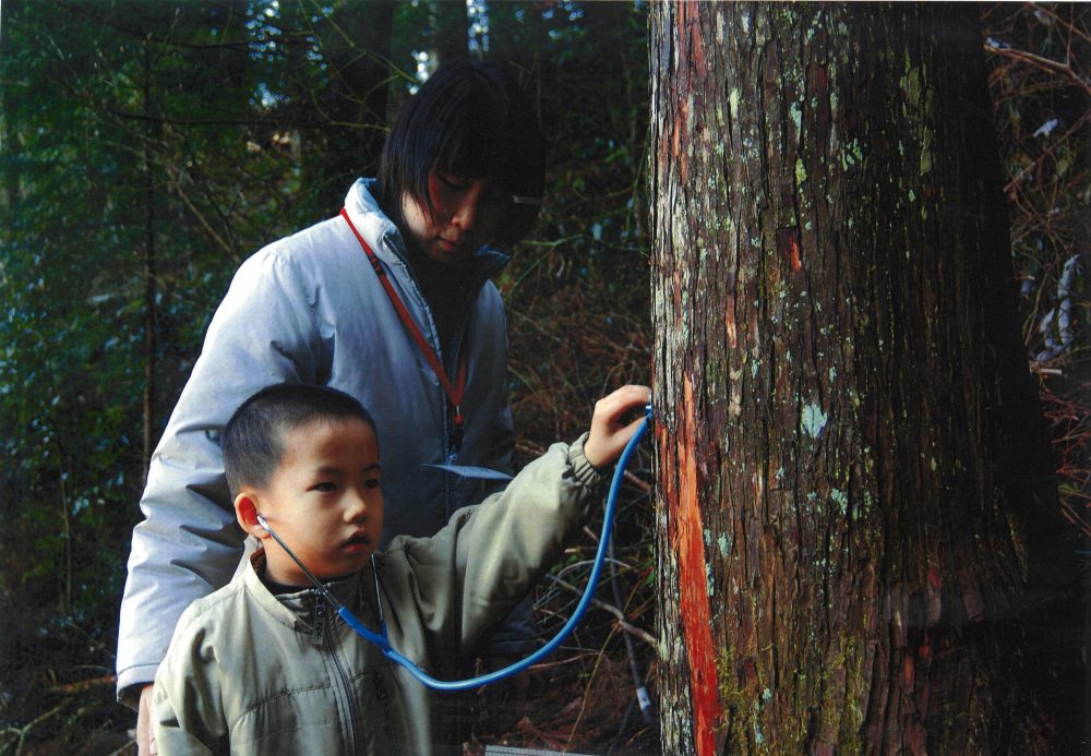 森に立っていても、家の材料になっても、無垢の木は呼吸をして生き続けている　伐採祈願祭ツアーにて