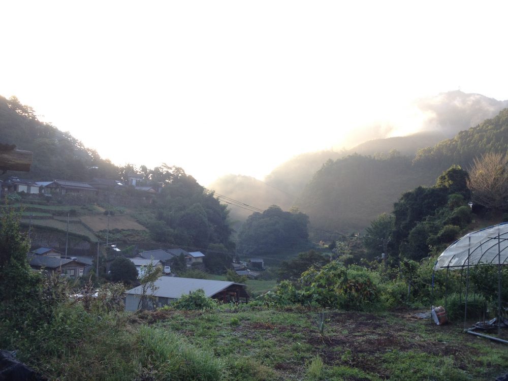 ゆすはらに到着！澄みきった空気と水、そんな好環境で育った樹木に会いに行きます。