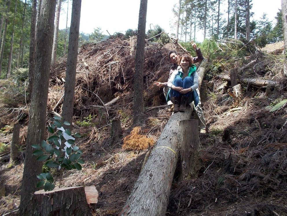 家の梁に使う木材を自分の手で伐採したからこその達成感と感動が待っています