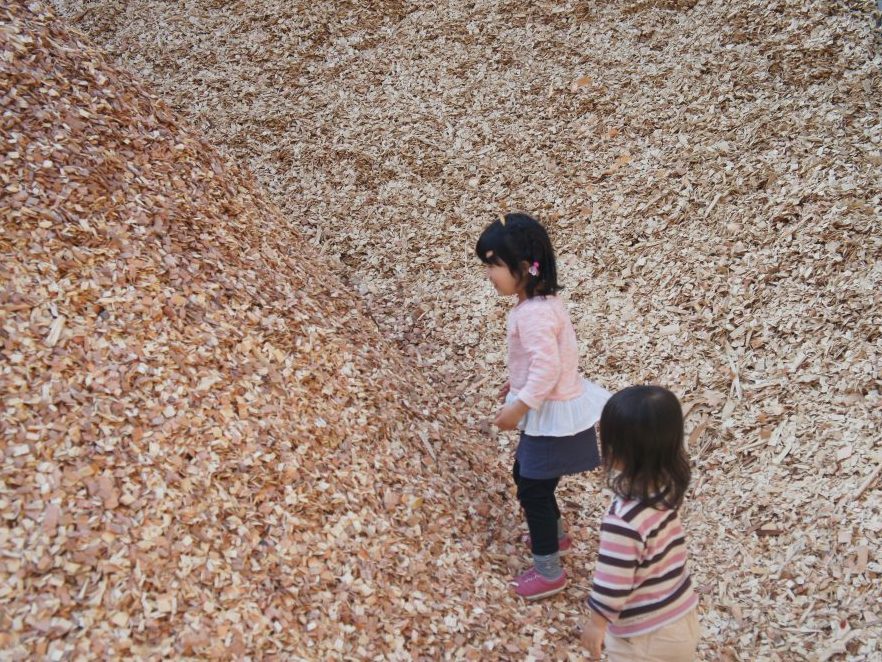 工場横には木材のチップの山！こんなに大量のウッドチップは工場ならでは