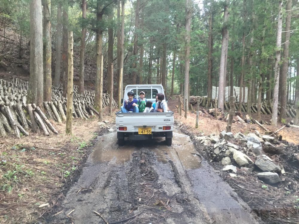 途中、森林組合の方に木の話しをしてもらいながら、記念樹の元へ向かいます。