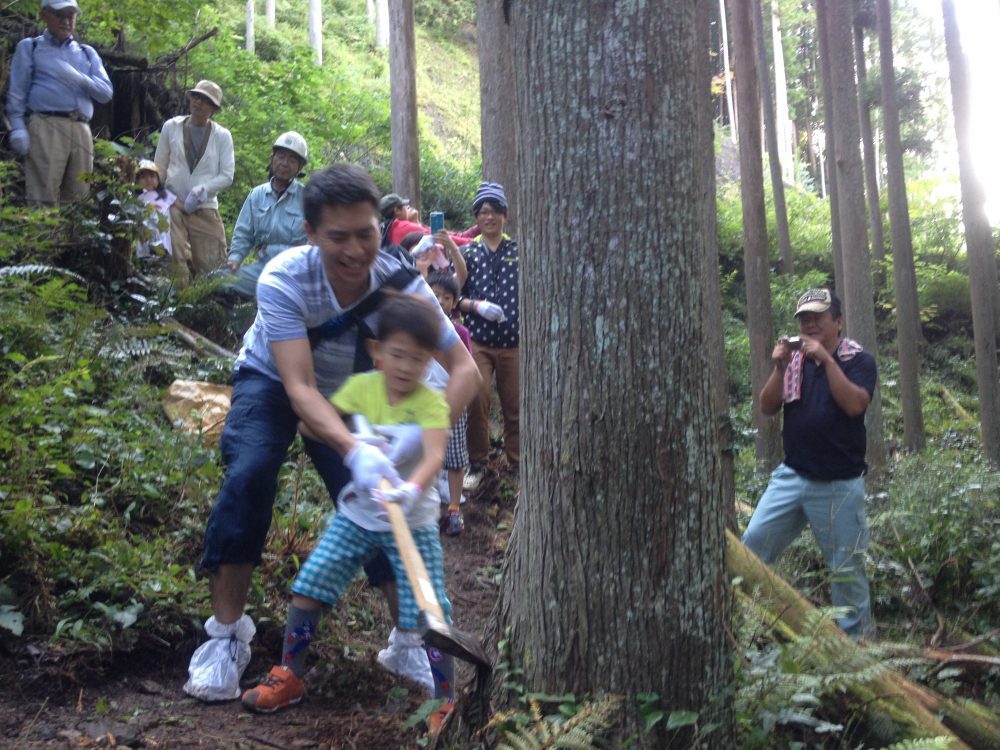 斧入れさせていただくのは、50～60年生の大木