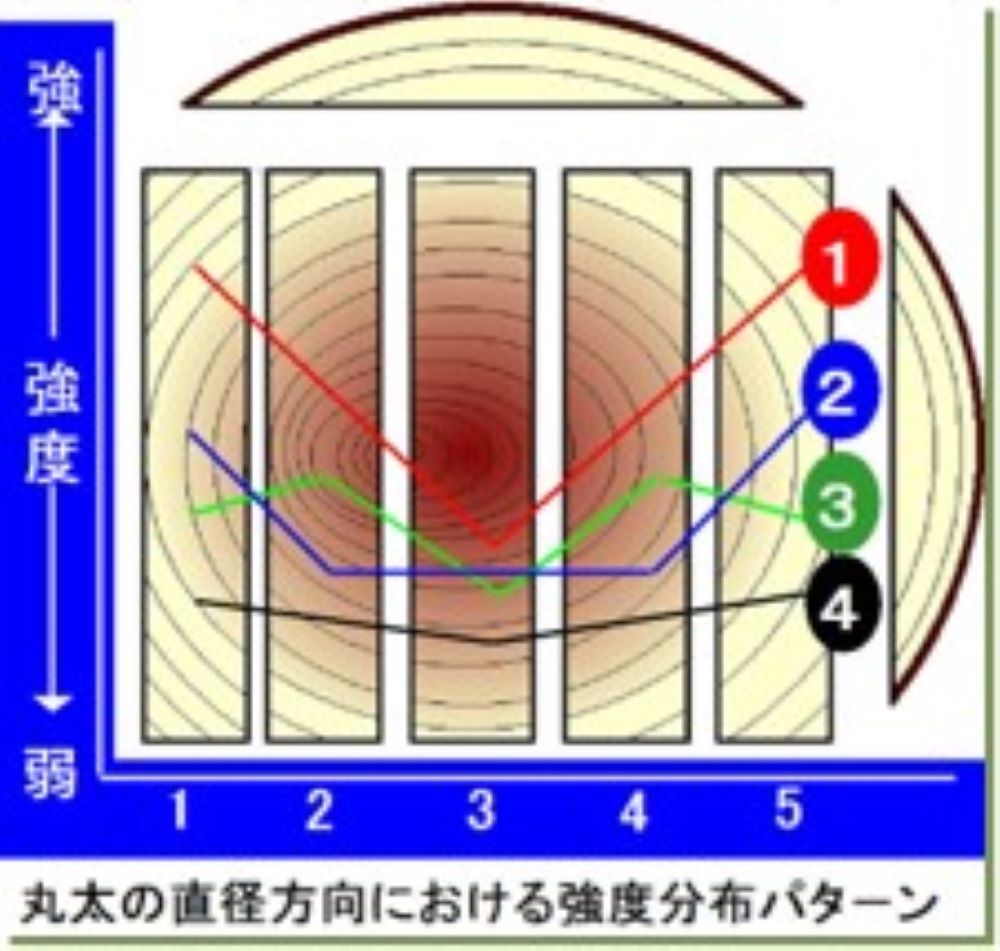 丸太の直径方向における強度分布パターン