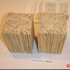 使ってはいけない外国材や集成材　被害は甚大