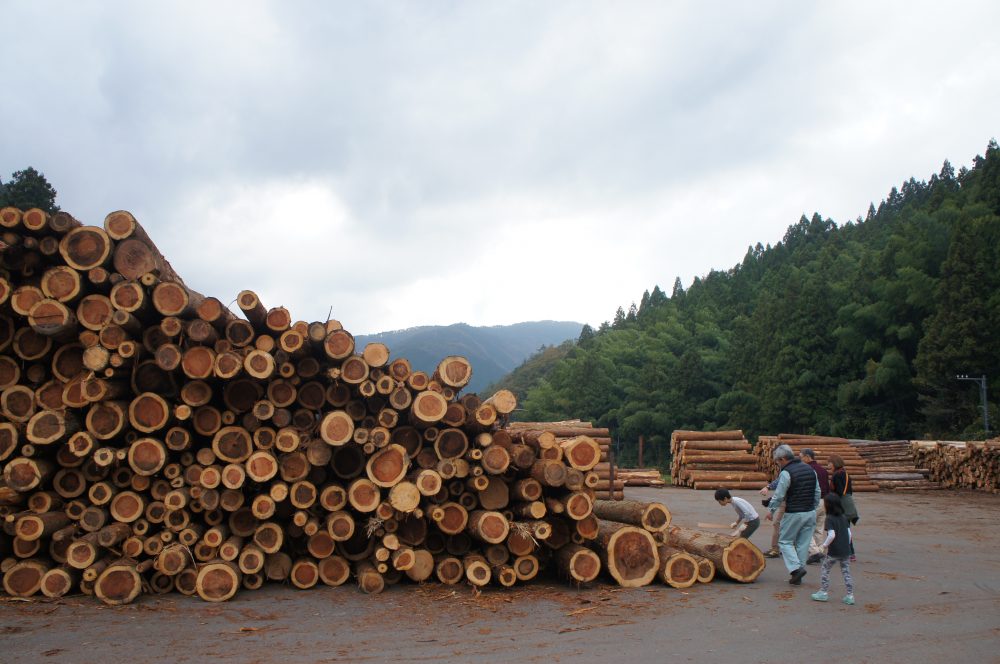 伐採祈願祭ツアー