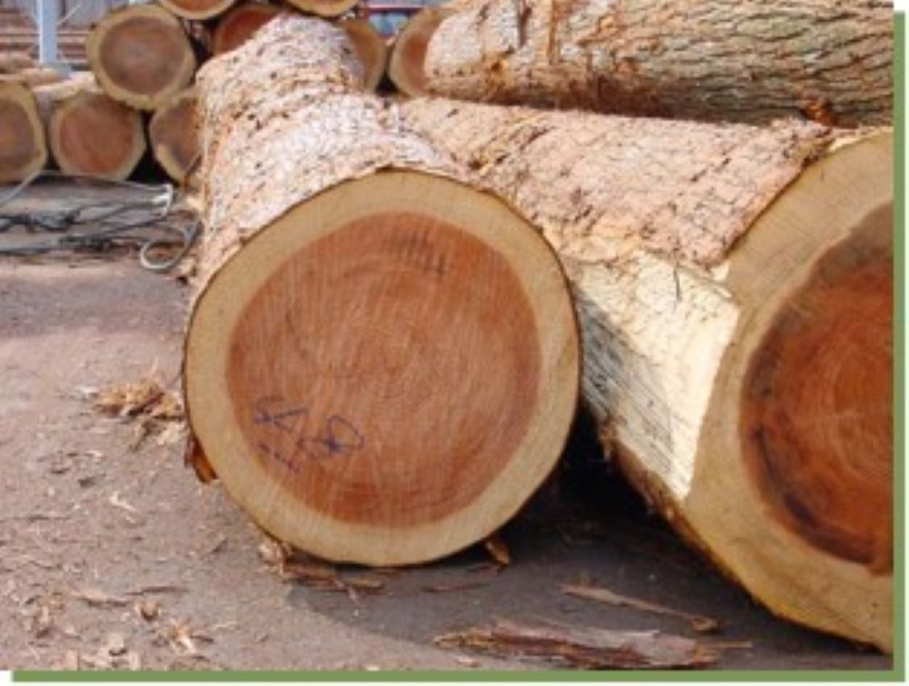 木材の強度は、芯材部と辺材部で異なる