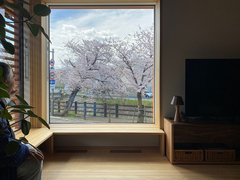 「陽の木の家」で迎える1年目の桜