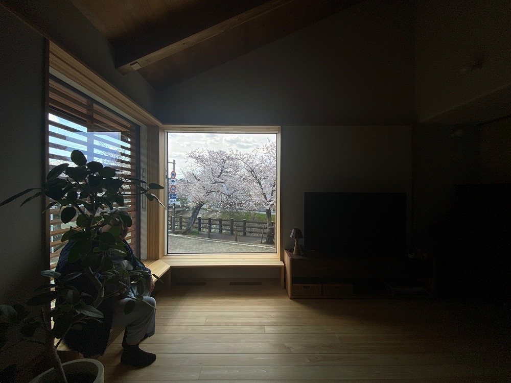 床と天井の無垢板が自然に照らされる。柔らかさが伝わってくる