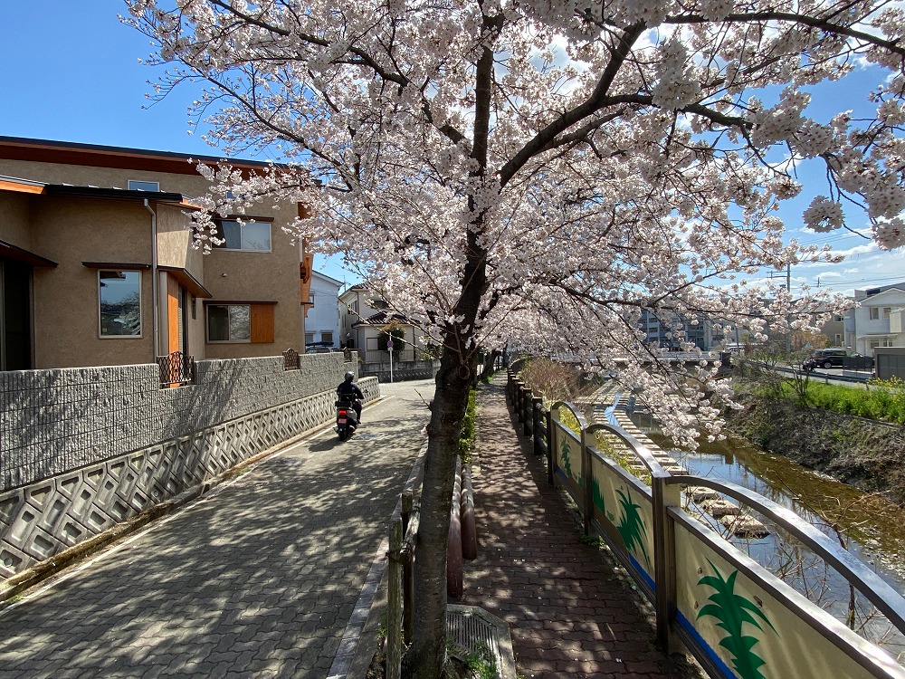 北側、裏の顔も無垢板の戸袋で退屈しない