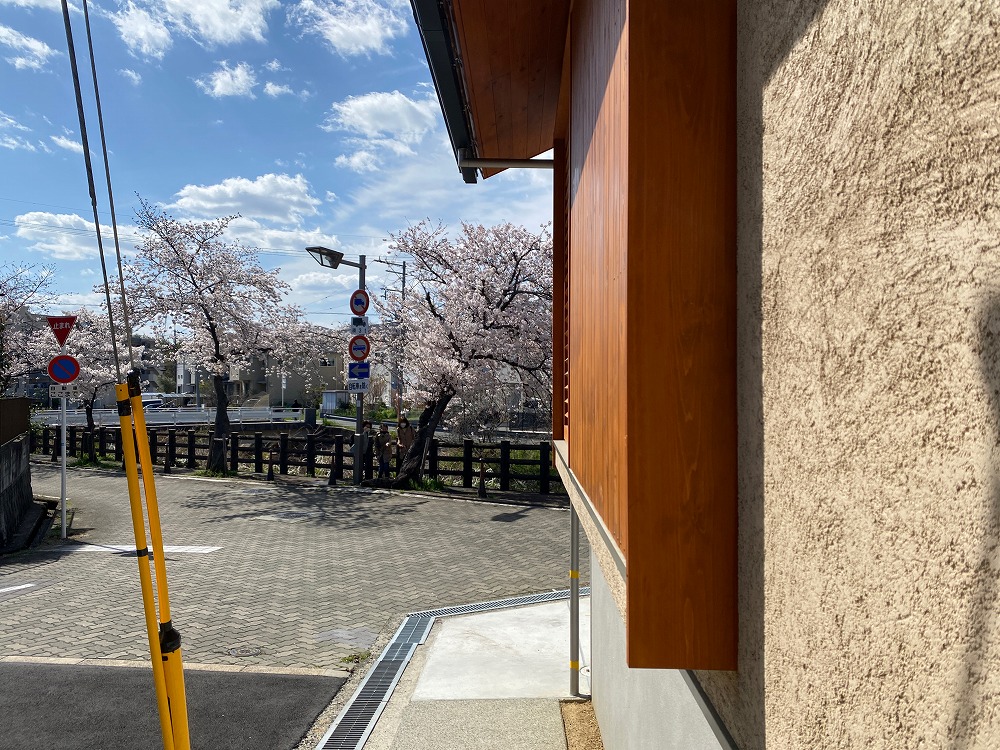 そとん壁、戸袋、軒、桜、空
