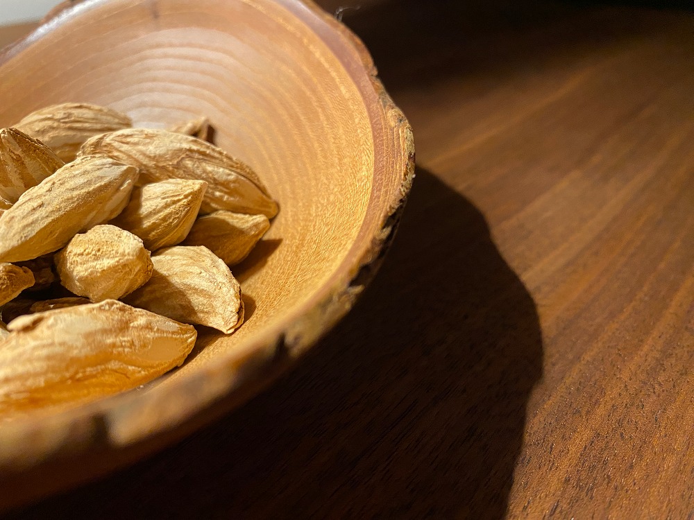 「陽の木の家」夜の照明　明るい？暗い？