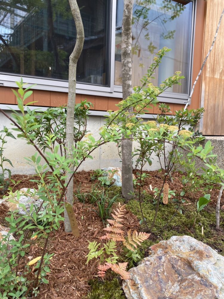 下草を使い、樹木とバークの境界をあいまいにしている