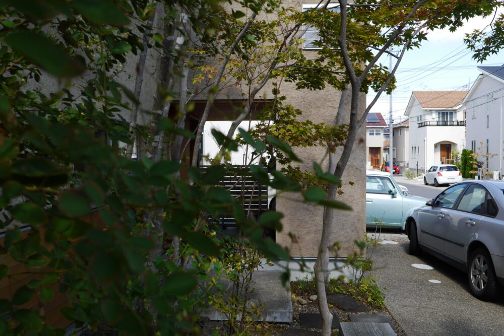 山採りの木は枝ぶりもユニークで自然体。建物とも融合する