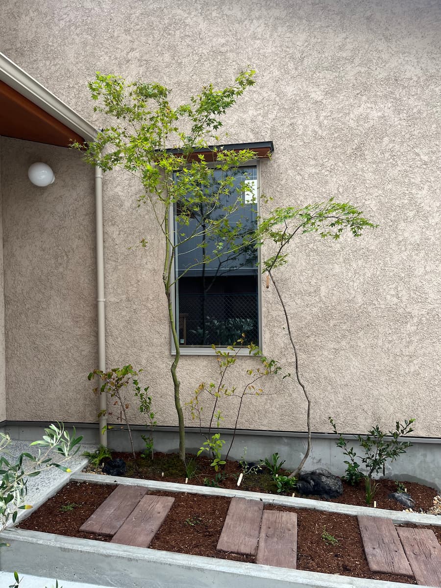 窓辺には、室内からの眺めや視線の遮りを考慮した植栽が並ぶ